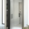 Душевая дверь New Trendy DIORA (120x190)
