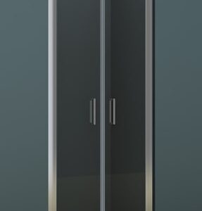 Душевая дверь NOVIK Z111 880×2000