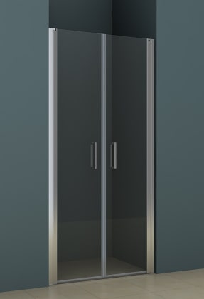 Душевая дверь NOVIK Z111 880x2000